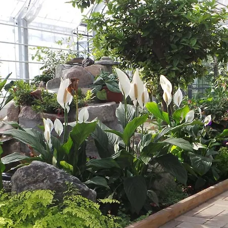 Vejro Resort * Vejro