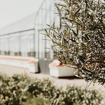 Hotel Vejro Resort *